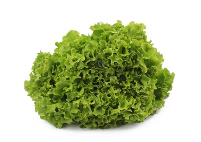 Салат романо 1 кг - купить в Госплодопитомнике